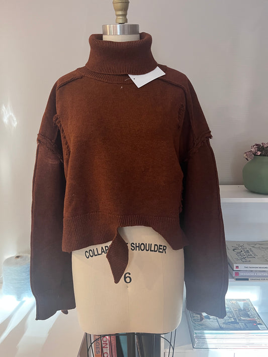 Brown turtleneck cropped sweater